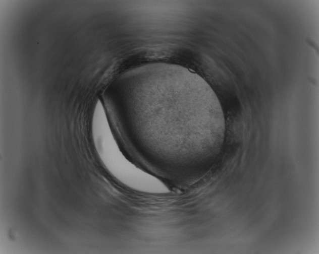 X0000098100227200804251412
