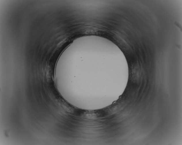 X0000098100228200804251412