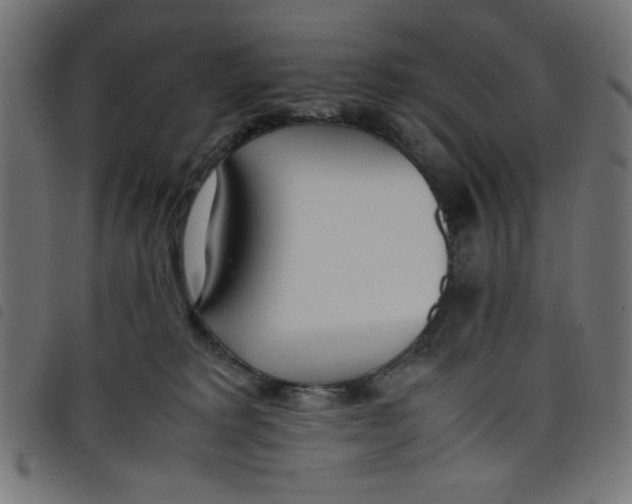 X0000098100229200804251412