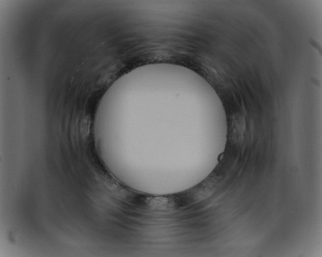 X0000098100230200804251412
