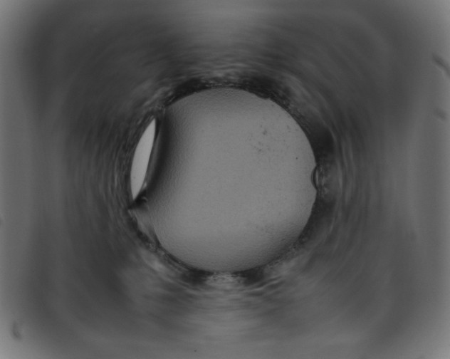 X0000098100231200804251412