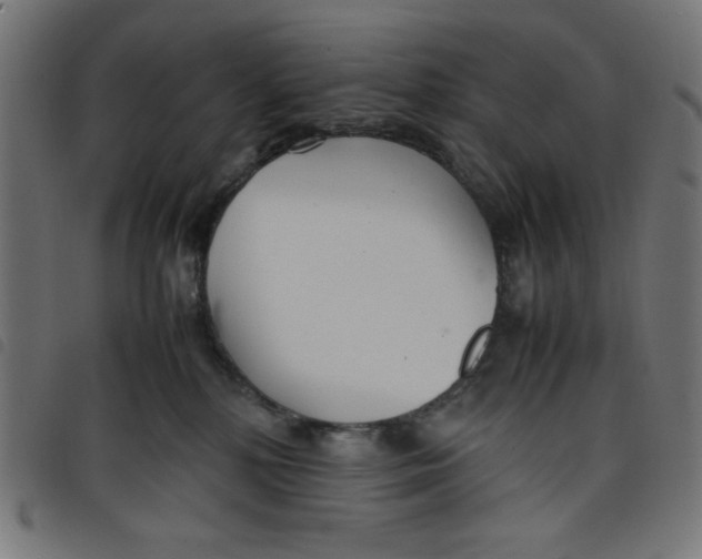 X0000098100232200804251412