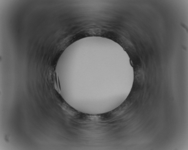 X0000098100233200804251412