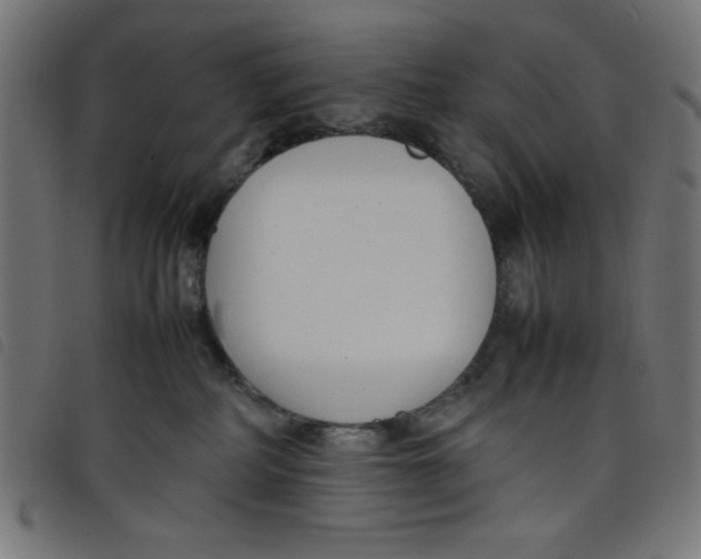 X0000098100234200804251412