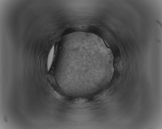 X0000098100235200804251412