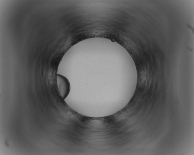 X0000098100236200804251412