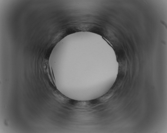 X0000098100237200804251412