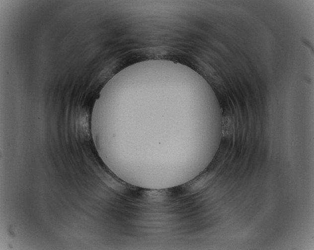 X0000098100238200804251412
