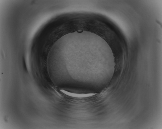 X0000098100239200804251412