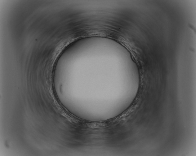 X0000098100241200804251411