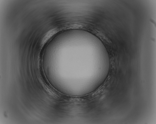 X0000098100242200804251411