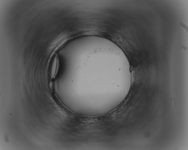 X0000098100243200804251411