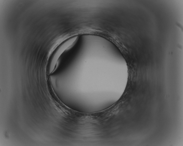 X0000098100244200804251411