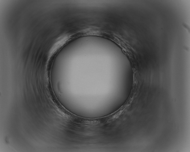 X0000098100245200804251411