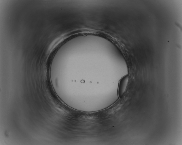 X0000098100247200804251411