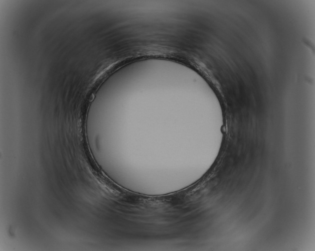 X0000098100249200804251411