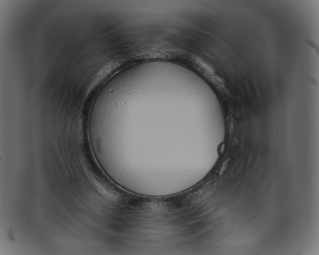 X0000098100250200804251411