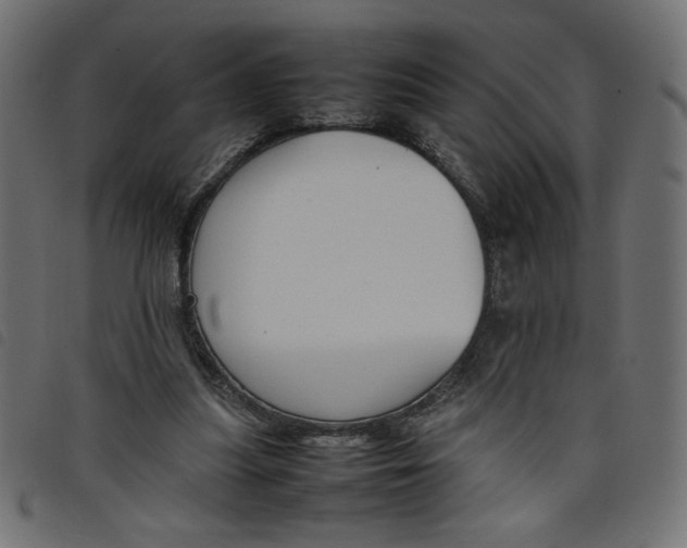 X0000098100251200804251411