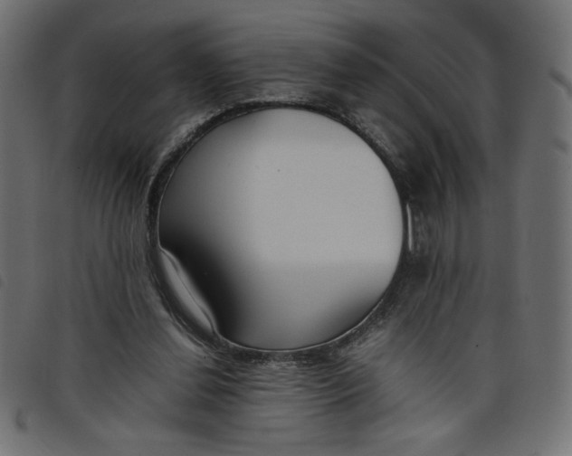 X0000098100252200804251411