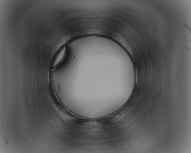 X0000098100253200804251411