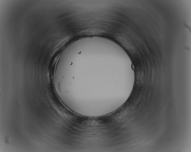 X0000098100254200804251411
