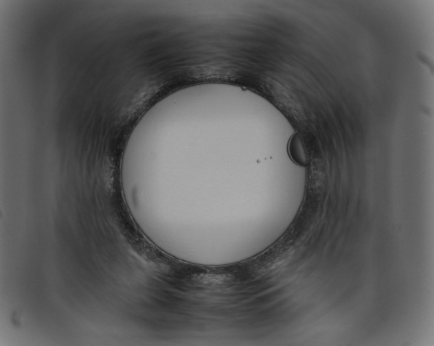 X0000098100255200804251411