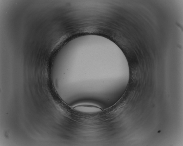 X0000098100256200804251411
