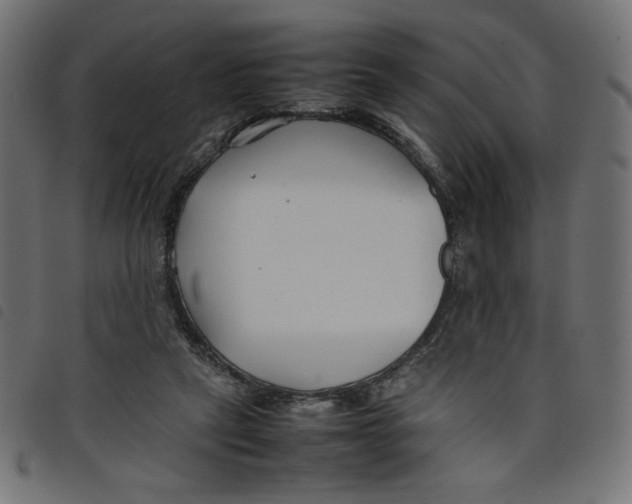 X0000098100257200804251411