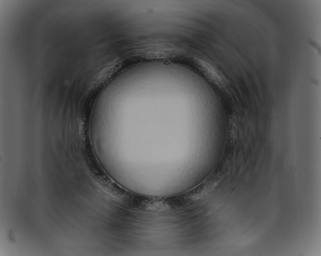 X0000098100258200804251411