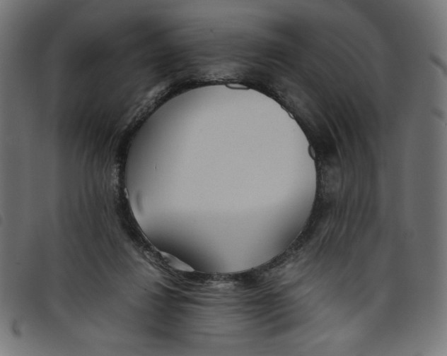 X0000098100260200804251411