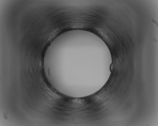 X0000098100261200804251411