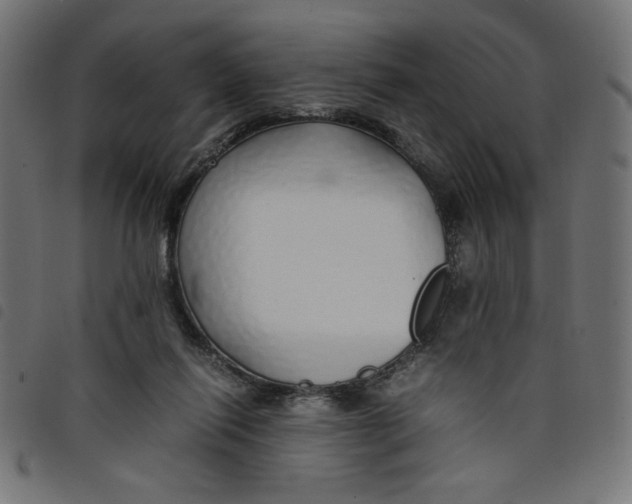 X0000098100262200804251411