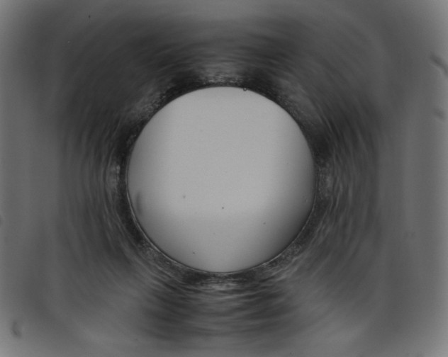 X0000098100263200804251411