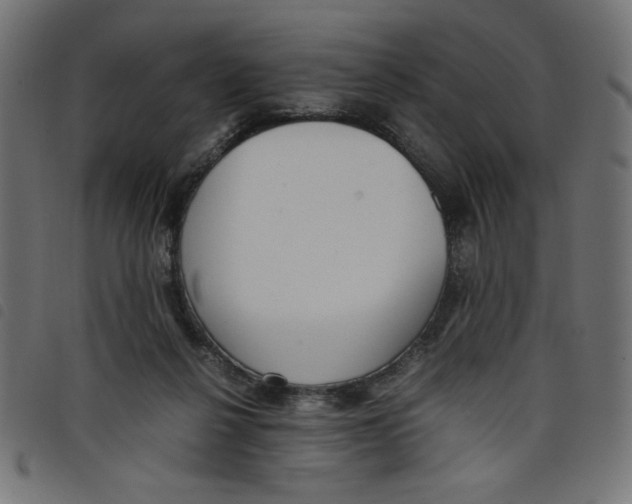 X0000098100264200804251411