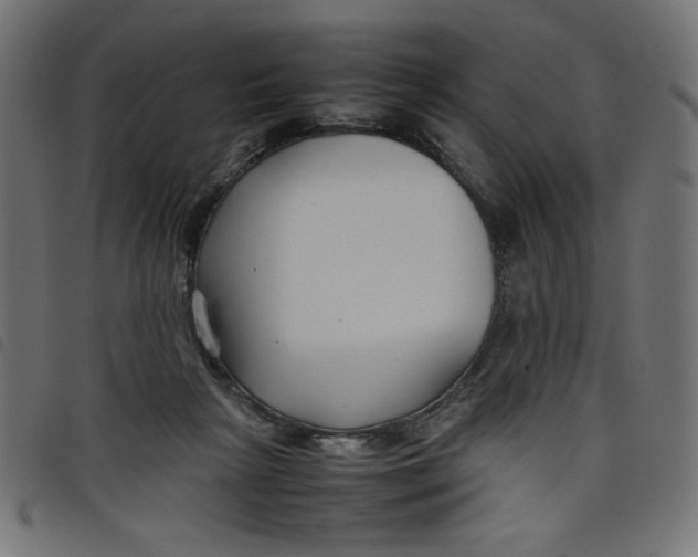X0000098100265200804251411