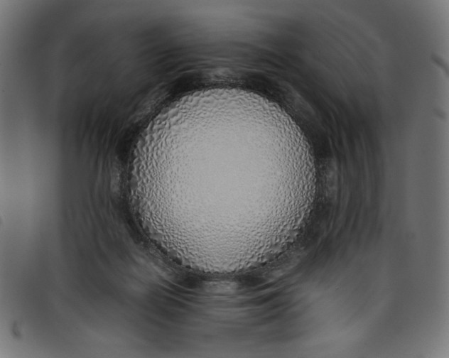 X0000098100266200804251411