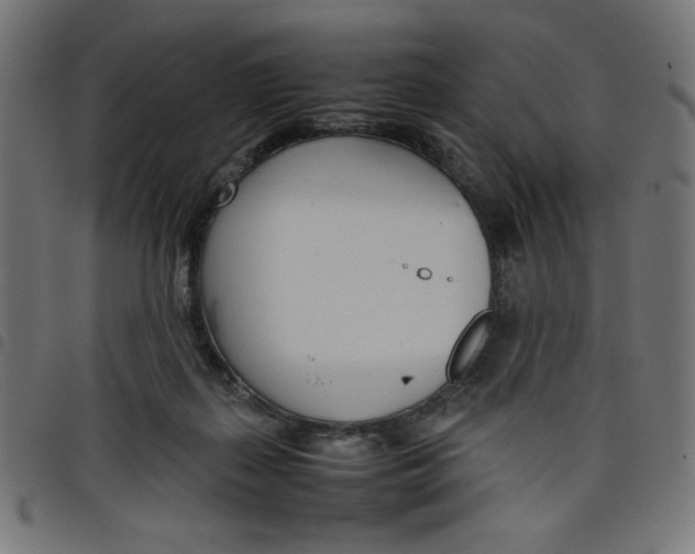 X0000098100267200804251411