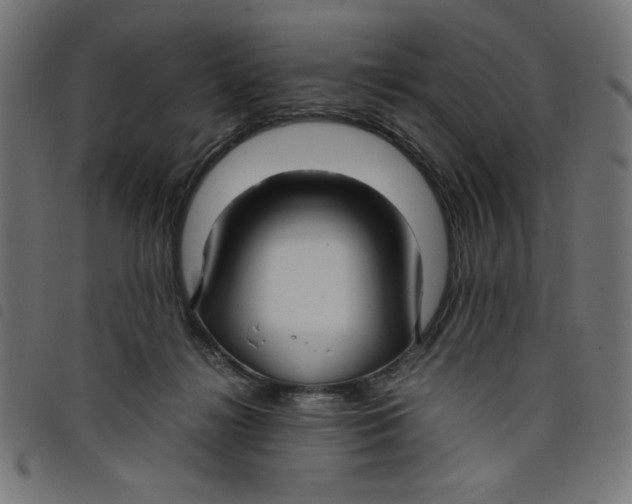 X0000098100268200804251411