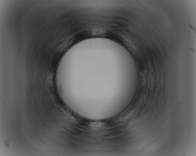 X0000098100269200804251411