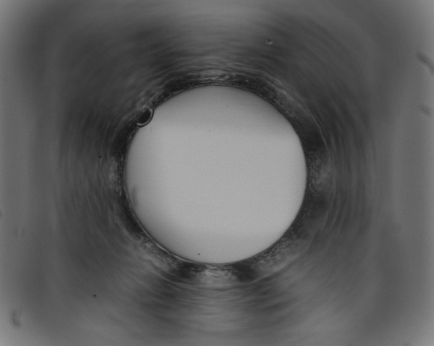 X0000098100270200804251411
