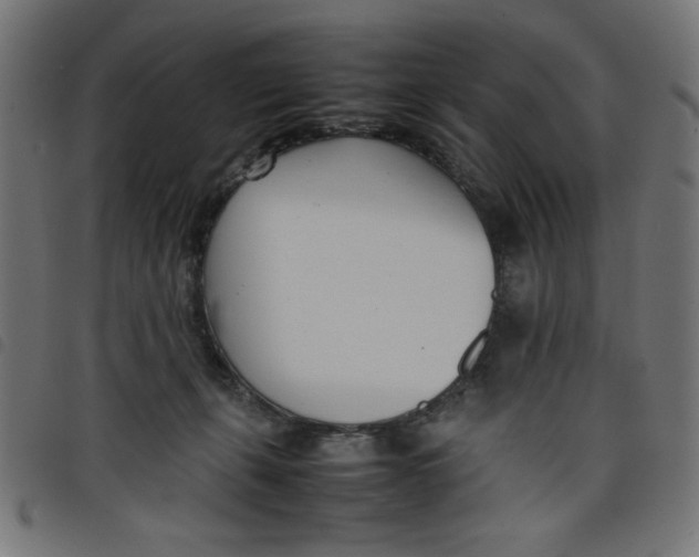 X0000098100271200804251412