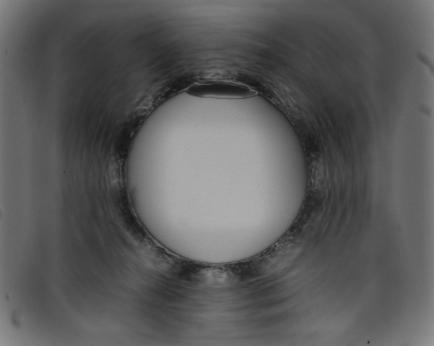 X0000098100272200804251412