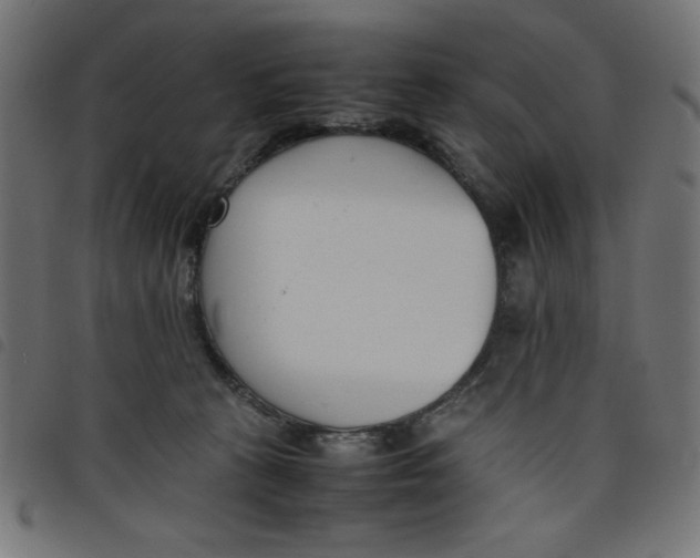 X0000098100273200804251412