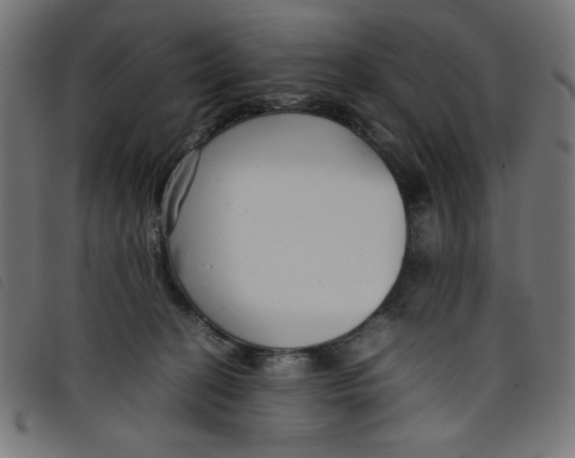 X0000098100274200804251412