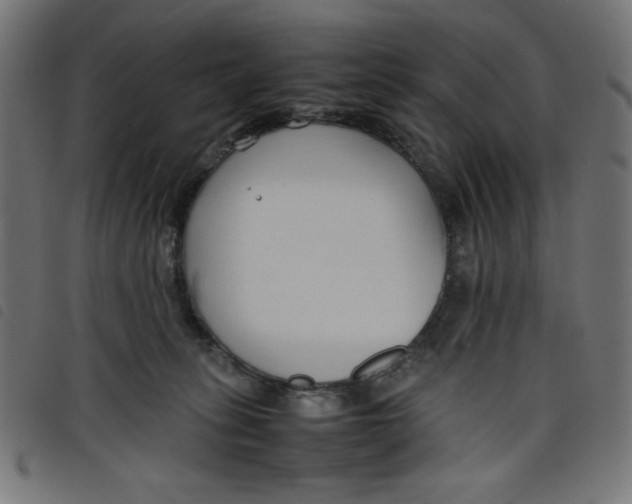 X0000098100275200804251412