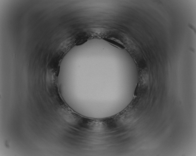 X0000098100276200804251412