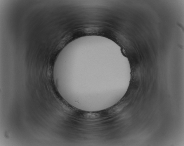 X0000098100277200804251412