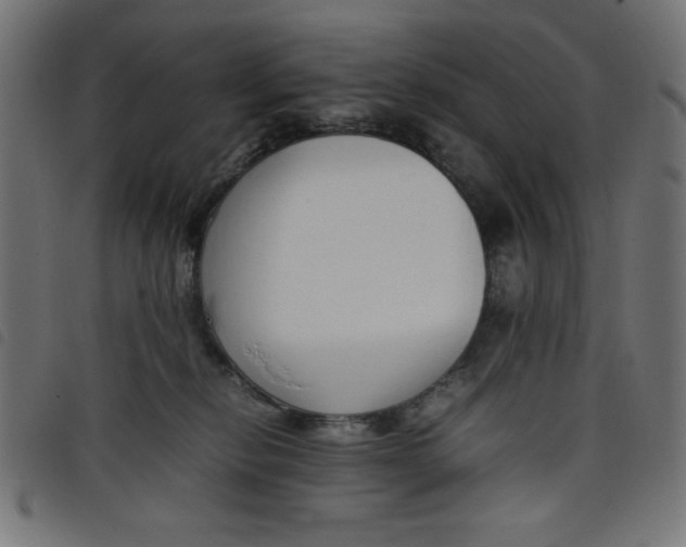 X0000098100278200804251412