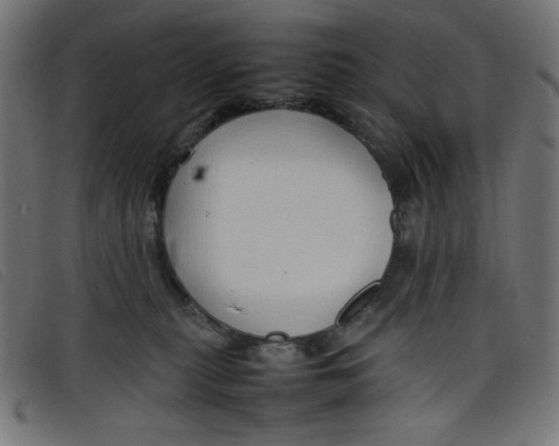 X0000098100279200804251412