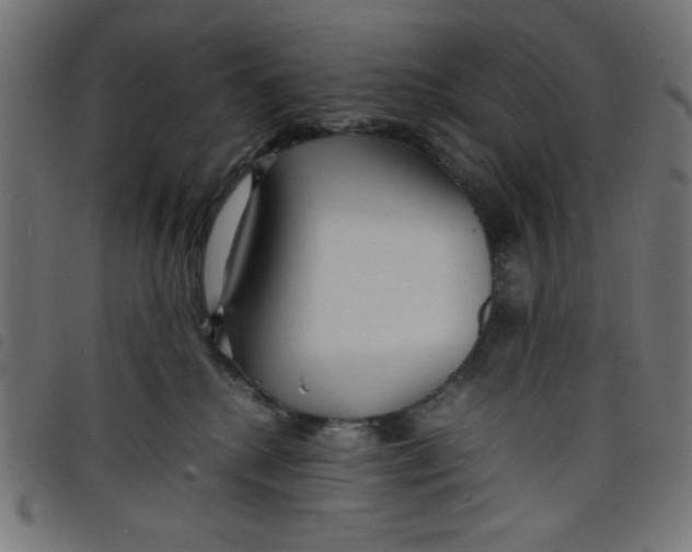 X0000098100280200804251412